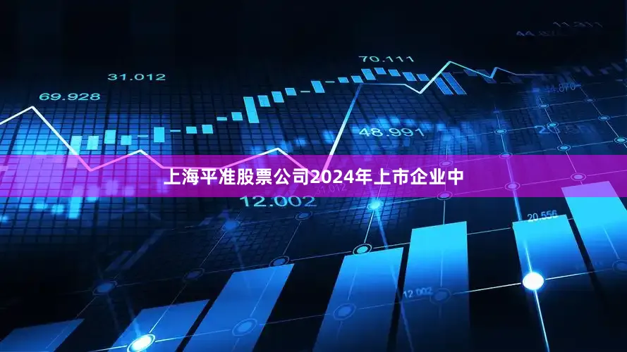 上海平准股票公司2024年上市企业中