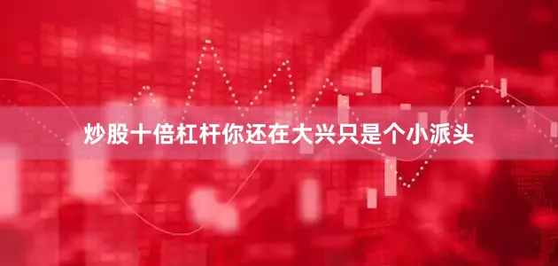 炒股十倍杠杆你还在大兴只是个小派头