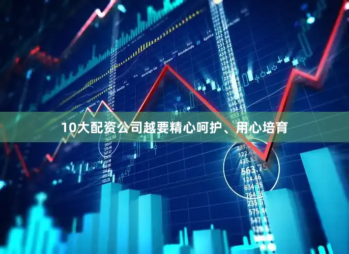 10大配资公司越要精心呵护、用心培育