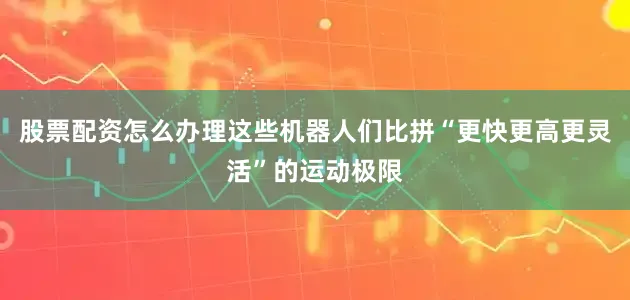 股票配资怎么办理这些机器人们比拼“更快更高更灵活”的运动极限